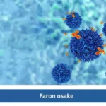 Ristikko Suomessa – historia ja suosio